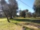 Thumbnail Land for sale in Via Brindisi, Carovigno, Brindisi, Puglia, Italy