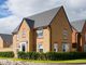 Thumbnail Detached house for sale in "Hollinwood" at Salhouse Road, Rackheath, Norwich