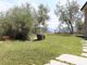 Thumbnail Villa for sale in Via Roma, Dolceacqua, It