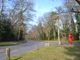 Thumbnail Detached house to rent in Chargate Close, Burwood Park, Surrey