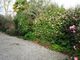 Thumbnail Detached house for sale in Bollogas Cottage, Buryas Bridge, Penzance