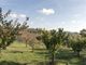 Thumbnail Country house for sale in Orvieto, Terni, Umbria, 05018