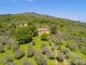 Thumbnail Country house for sale in Italy, Tuscany, Florence, Figline Valdarno