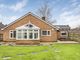 Thumbnail Detached house for sale in The Ryde, Hatfield