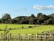 Thumbnail Land for sale in Homestead Road, Medstead, Alton, Hampshire