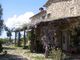 Thumbnail Country house for sale in Manciano, Località Montecavallo, Manciano, Toscana