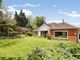 Thumbnail Detached bungalow for sale in Clapham, Exeter