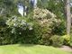 Thumbnail Land for sale in West Drive, Virginia Water, Surrey
