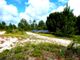 Thumbnail Land for sale in Property 70Ha, Santarém, Salvaterra De Magos, Muge, Salvaterra De Magos, Santarém, Central Portugal