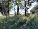 Thumbnail Land for sale in Land North Of Houghton House, Hazelwood Lane, Ampthill, Bedfordshire