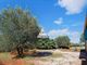 Thumbnail Detached house for sale in Gonfaron, Provence-Alpes-Cote D'azur, 83590, France