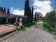 Thumbnail Villa for sale in Toscana, Grosseto, Scansano