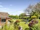 Thumbnail Detached bungalow for sale in Clapham, Exeter