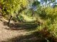 Thumbnail Farm for sale in Farm Confining With A River, Portugal, Cinfães, Viseu District, Norte, Portugal