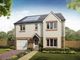 Thumbnail Detached house for sale in "The Whithorn" at Newfield Gardens, Stonehouse, Larkhall