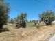 Thumbnail Land for sale in Carril, Serra E Junceira, Tomar