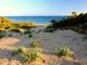 Thumbnail Land for sale in Kattavia, Lachania, Rhodes Islands, South Aegean, Greece