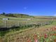 Thumbnail Detached bungalow for sale in Bonnie View, Greystonelees, Eyemouth