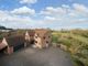 Thumbnail Detached house for sale in Westover, Langport