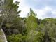 Thumbnail Land for sale in Spain, Mallorca, Puigpunyent, Galilea