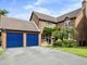 Thumbnail Detached house for sale in Conker Close, Ashford