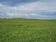 Thumbnail Land for sale in Plot Of Land, 11A Rushgarry, Berneray, Isle Of North Uist