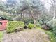 Thumbnail Bungalow for sale in Woodbury Close, Christchurch, Dorset