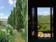 Thumbnail Villa for sale in Casole D'elsa, Siena, Tuscany