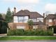 Thumbnail Detached house for sale in Pine Grove, London