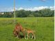 Thumbnail Detached house for sale in Sarn Lane, Caergwrle