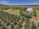 Thumbnail Country house for sale in Browns Gold Olive Estate, Raithby, Stellenbosch, Western Cape, 7600