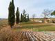Thumbnail Country house for sale in Italy, Tuscany, Livorno, Cecina