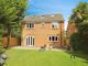 Thumbnail Detached house for sale in The Acorns, Hailsham, East Sussex