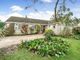 Thumbnail Detached bungalow for sale in Swyre Road, Puncknowle, Dorchester