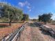 Thumbnail Land for sale in Conversano, Puglia, 70014, Italy