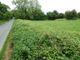 Thumbnail Land for sale in Land At, Glebe Corner, Mautby, Great Yarmouth, Norfolk