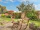 Thumbnail Detached bungalow for sale in Cedar Close, Ferring, Worthing