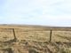 Thumbnail Land for sale in Land South Of Arriebeg, Upper Lybster, Lybster