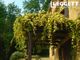 Thumbnail Villa for sale in Sainte-Foy-De-Belvès, Dordogne, Nouvelle-Aquitaine