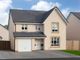 Thumbnail Detached house for sale in "Cullen" at Castlelaw Crescent, Bilston, Roslin