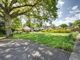 Thumbnail Detached bungalow for sale in Sandhurst Lane, Bexhill-On-Sea