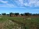 Thumbnail Land for sale in Castellana Grotte, Puglia, 70013, Italy