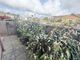 Thumbnail Property for sale in Great Field Gardens, Braunton