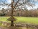 Thumbnail Equestrian property for sale in Hammerwood, East Grinstead