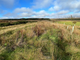 Thumbnail Land for sale in Midclyth, Lybster