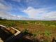 Thumbnail Bungalow for sale in North Boundary Road, Brixham, Devon