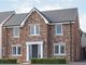Thumbnail Detached house for sale in The Beech, Hale Village, Liverpool, Cheshire