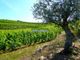 Thumbnail Farm for sale in Property Of 14Ha With Vineyard In The Douro, Portugal