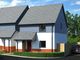 Thumbnail Detached house for sale in The Beeches, Budleigh Salterton, Devon