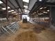 Thumbnail Farm for sale in Pencader, Carmarthen